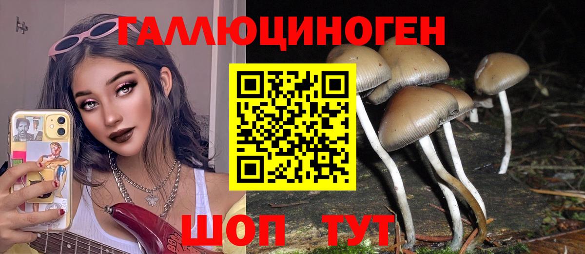 Галлюциногенные грибы MAGIC MUSHROOMS Курчатов